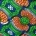 African Wax Print 08 (Royal Blue/Orange/Green)